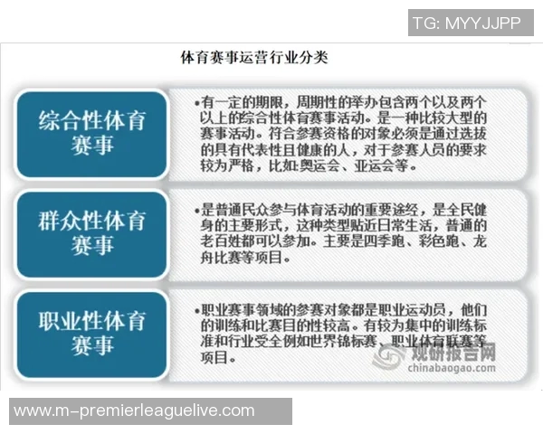 全球范围内踢足球的人数统计及其对体育文化的影响分析