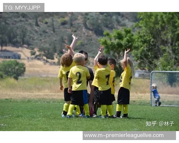 足球小白的成长之路从零基础到球场明星的蜕变故事